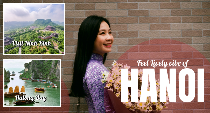 3 Days Hanoi - Halong Bay - Ninh Binh Tour (Excluded Hotel)